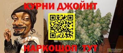 гашик Нарткала