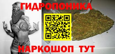шишки Наро-Фоминск