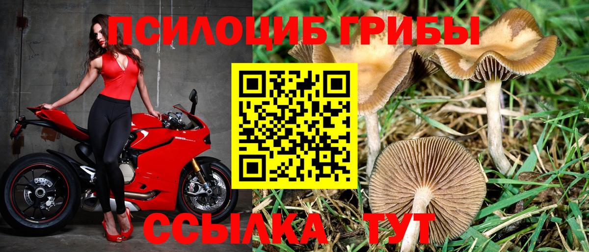 Галлюциногенные грибы ЛСД Югорск