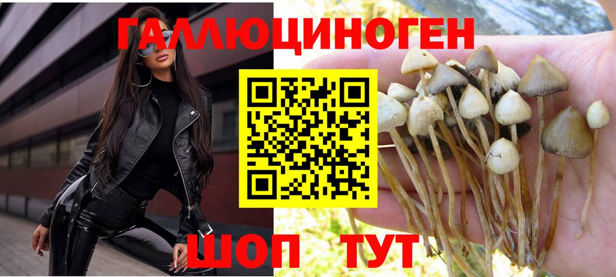 продажа наркотиков  Вход с VPN  Югорск  Псилоцибиновые грибы прущие грибы 